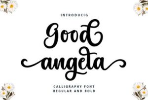 Good-Angela-Script-Font-11
