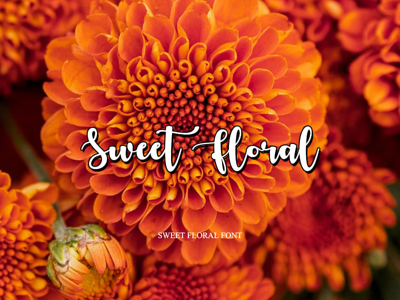 Free-Sweet-Floral-Font