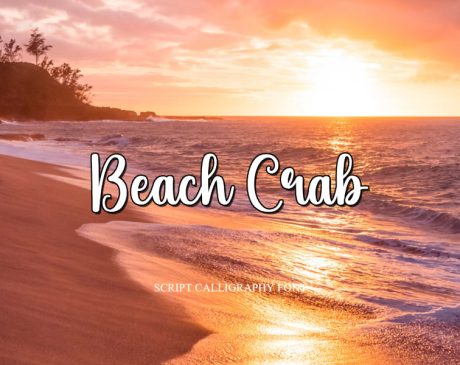 Free-Beach-Crab-Script-Calligraphy-Font