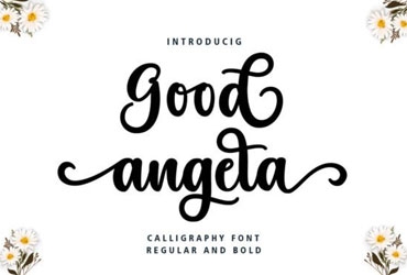 Good-Angela-Script-Font-11.jpg