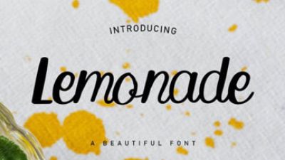 Lemonade-Script-Font-11.jpg